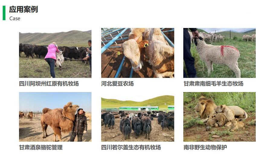 智慧牧場應用案例 智慧牧場應用案例
